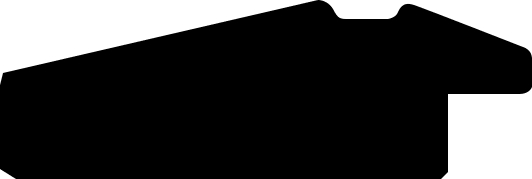 Baguette 12m bois profil pente largeur 4.5cm de couleur blanc mat filet noir